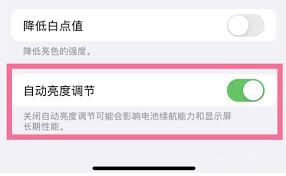 苹果手机如何关闭自动亮度调节
