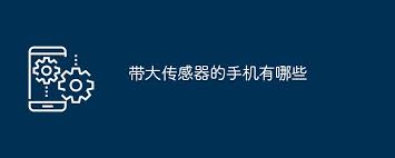 哪些手机搭载了超大传感器？