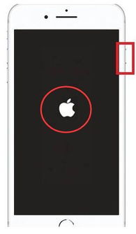 苹果手机如何强制重启