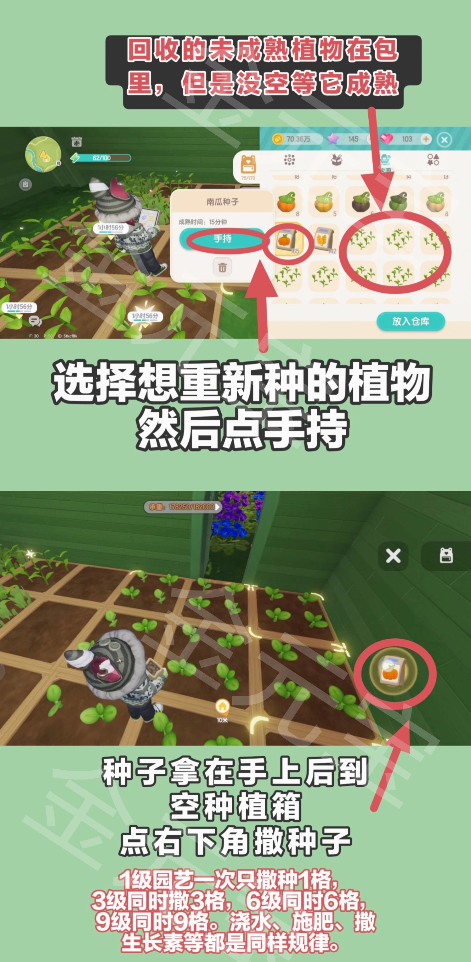 心动小镇园艺攻略:植物高星,无缝衔接种植