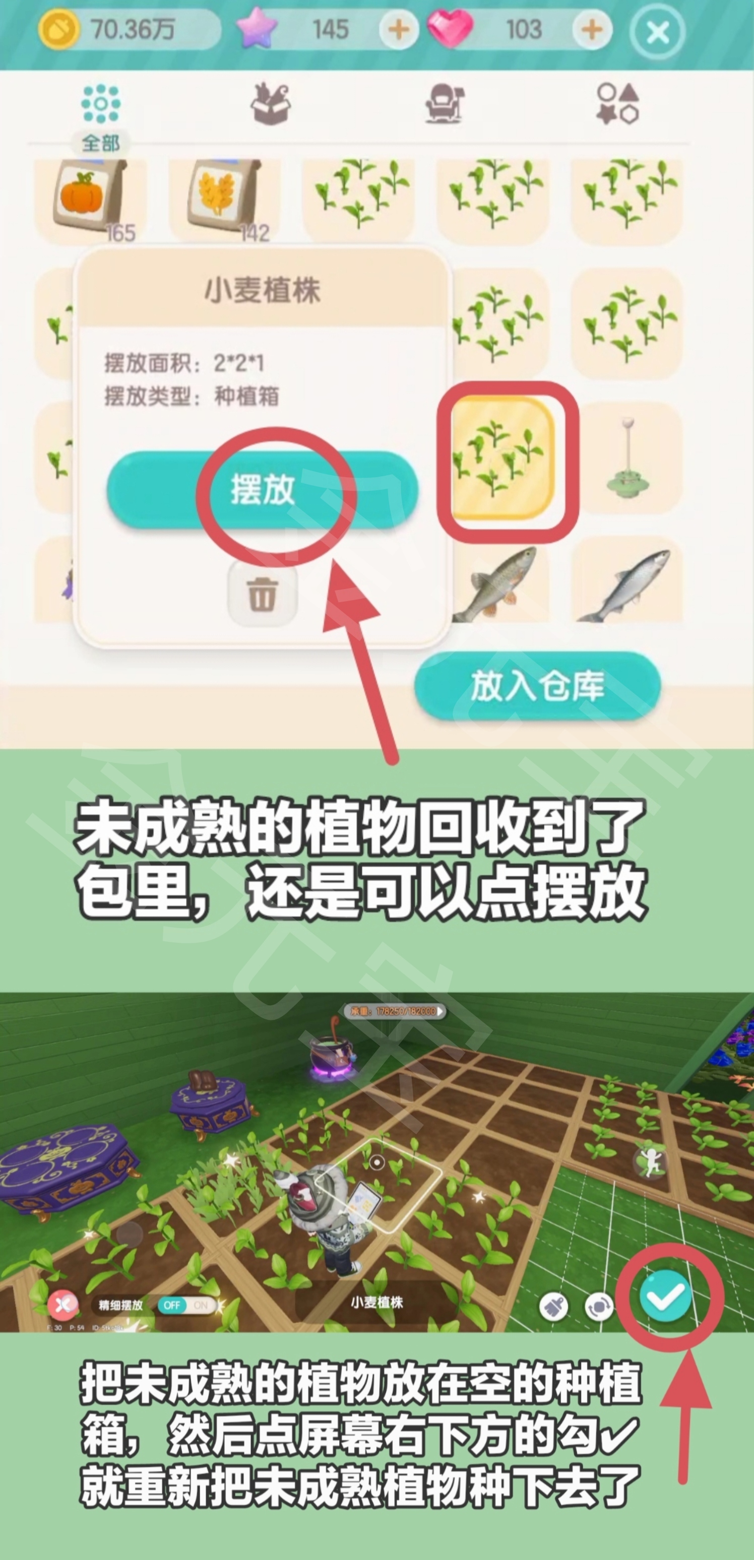 心动小镇园艺攻略:植物高星,无缝衔接种植