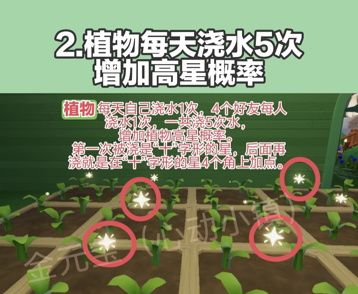 心动小镇园艺攻略:植物高星,无缝衔接种植