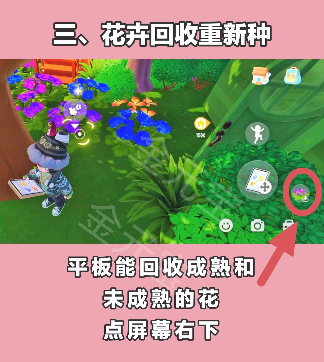 心动小镇园艺攻略:植物高星,无缝衔接种植