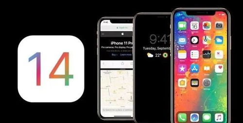 无法在iPhone12上运行iOS17Beta？这里有解决方案