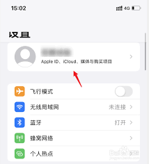 如何停止iCloud自动续费