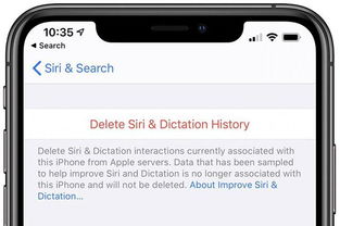 如何在iOS17.4Beta1上调整Siri的语音设置