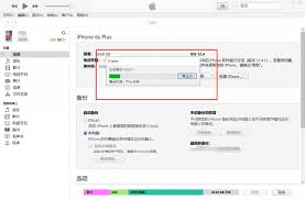 在哪里可以找到Apple iTunes备份文件