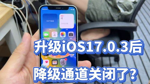 iOS17.0.3升级后能否降回iOS16