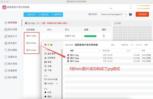 在Mac上将HEIC照片转换为JPG？3种高效转换方法