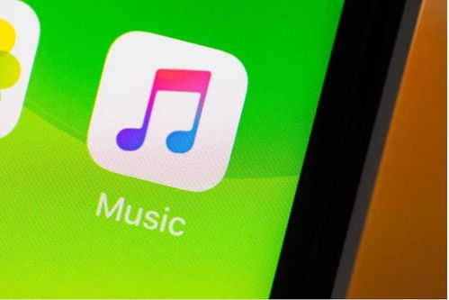 Apple Music空间音频设置指南